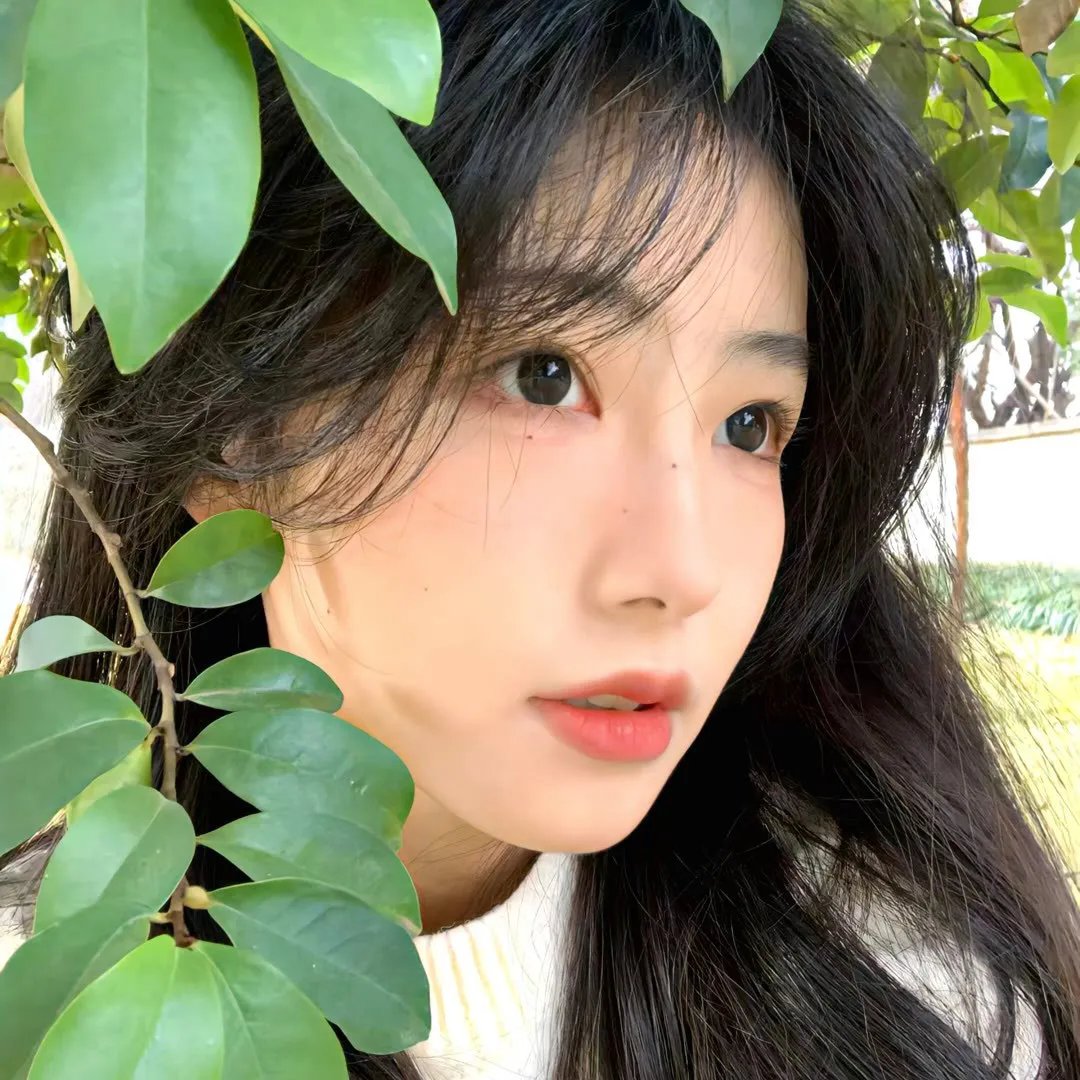贤伉俪